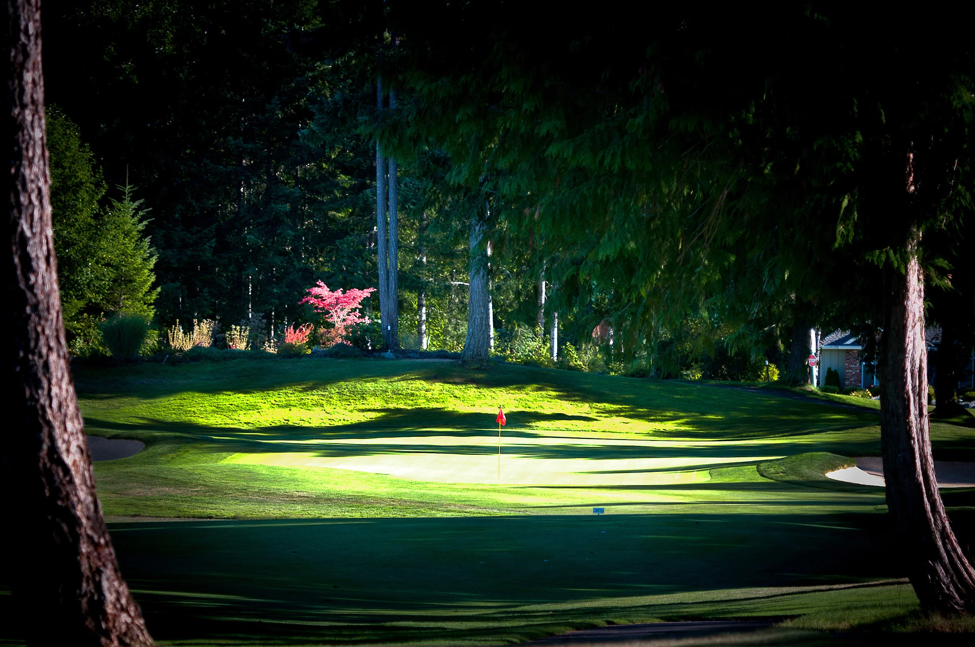 Canterwood Golf & Country Club - Golf Course
