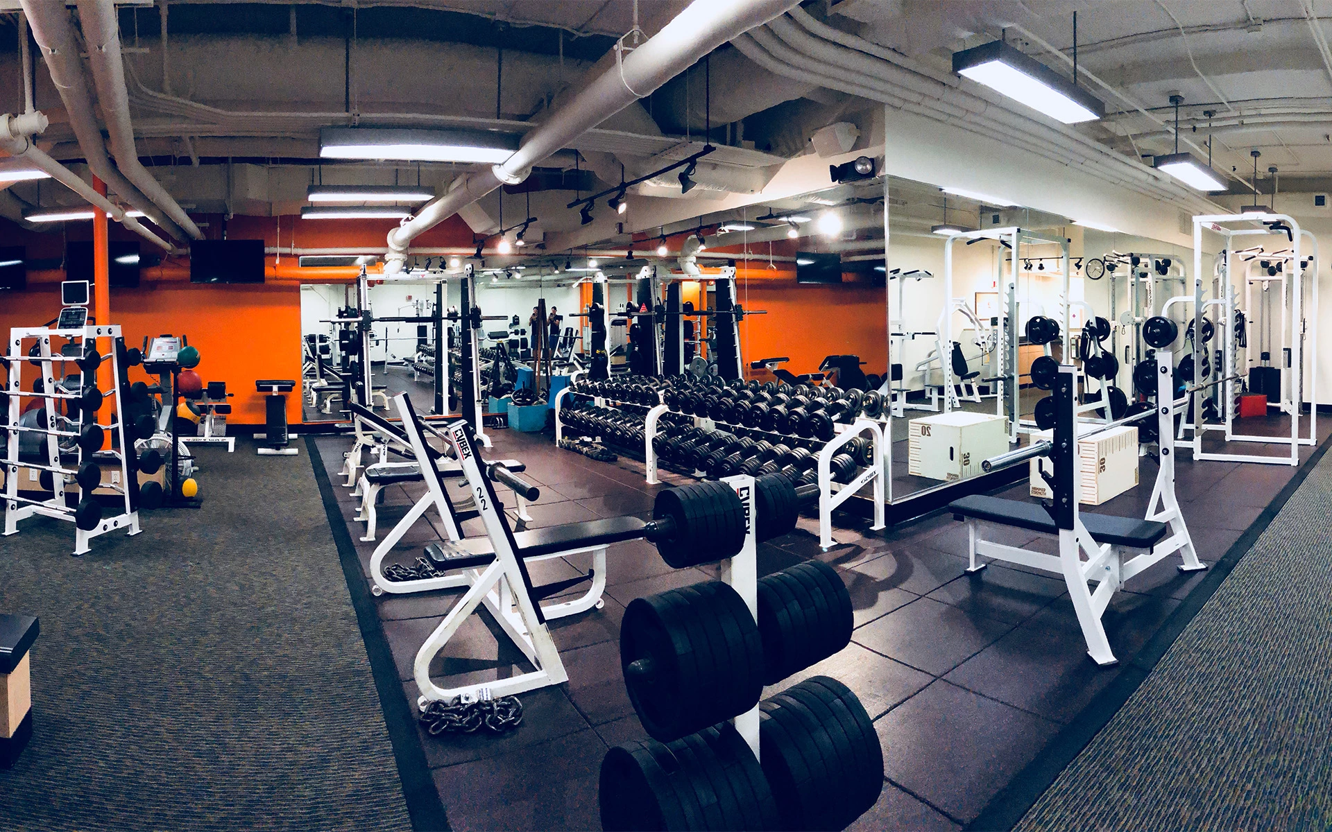 Gym-tastic Secrets to Transform Your Workout Routine