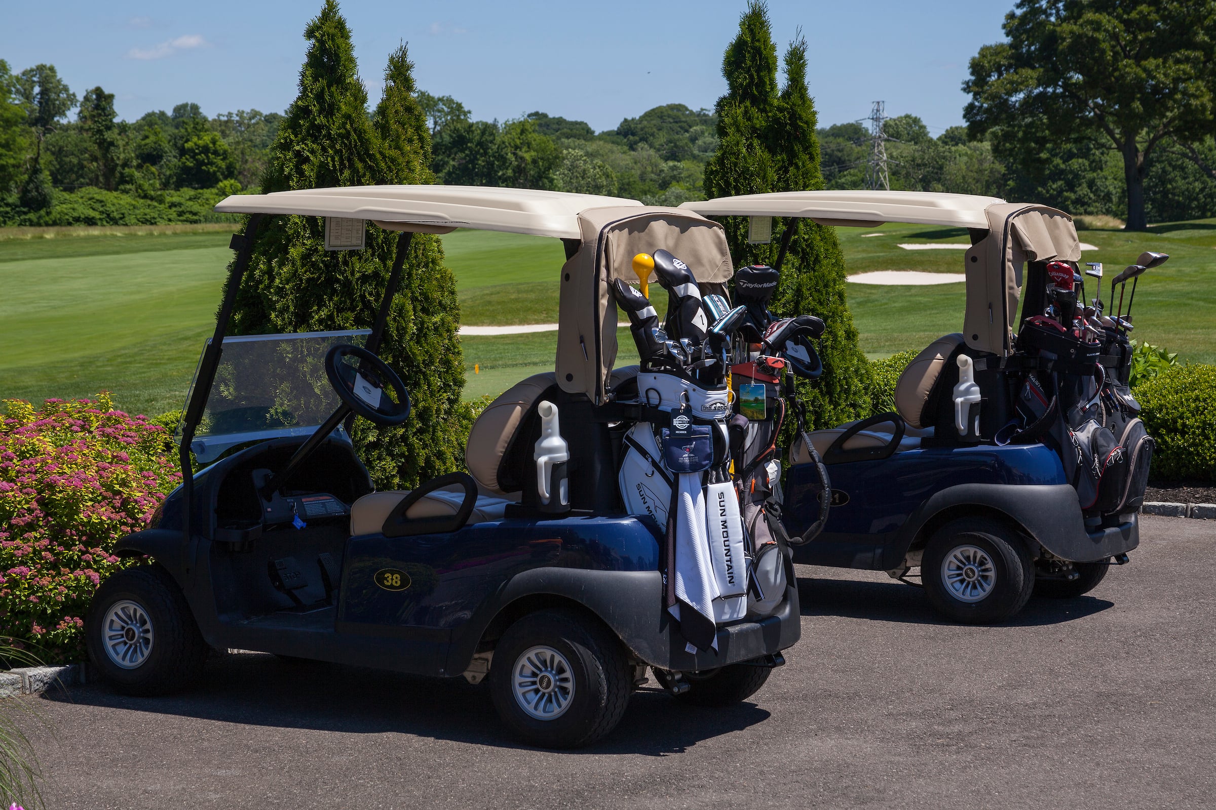 Golf Carts