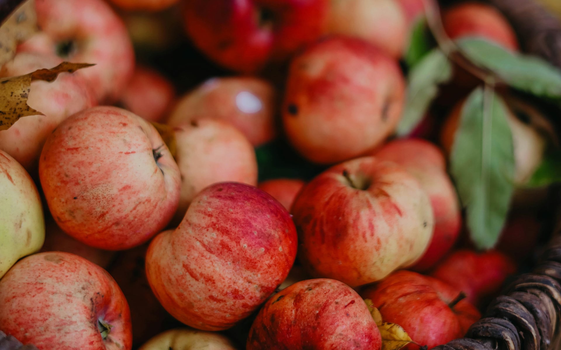 bunch of apples