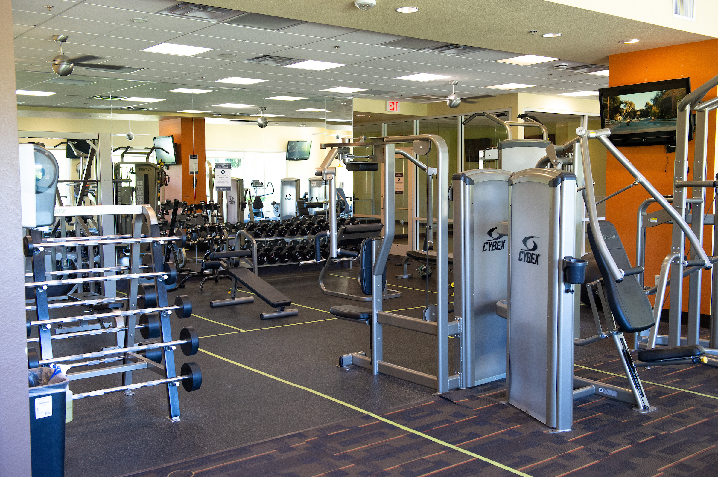 Gym with weight equipment