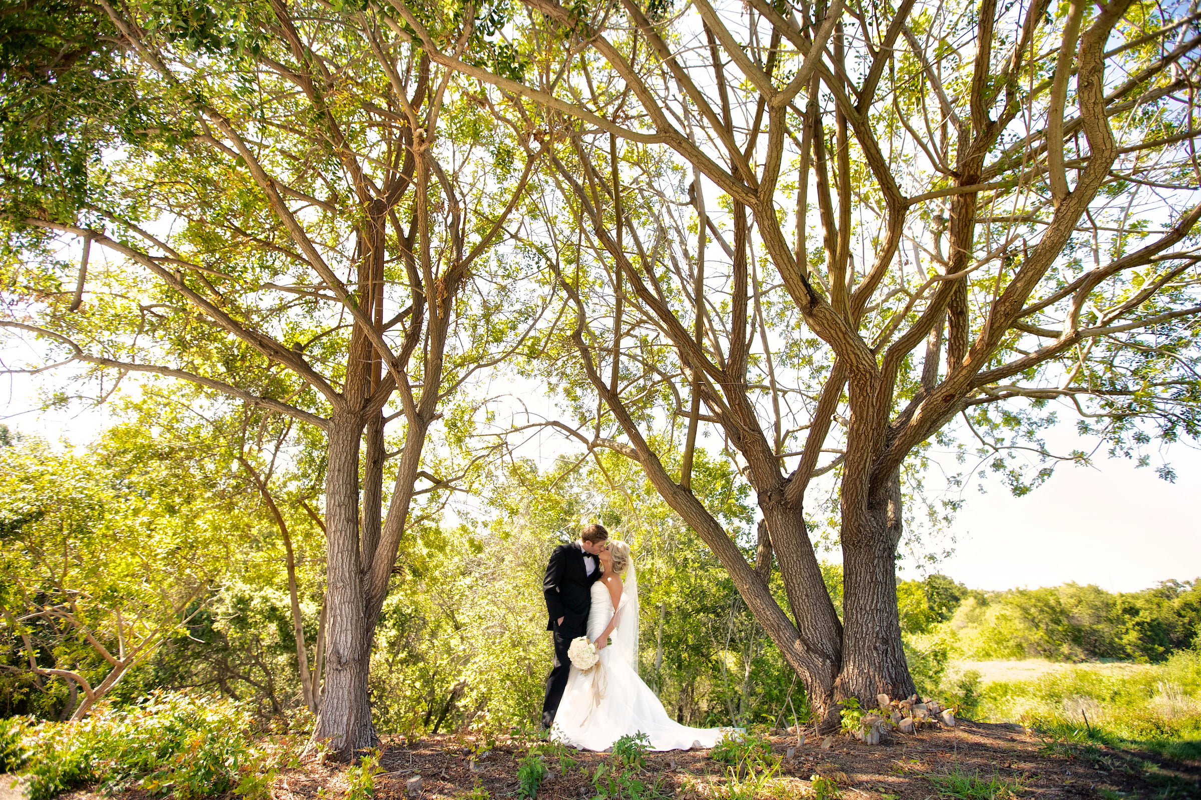 Bride & Groom kissing under trees on a golf course