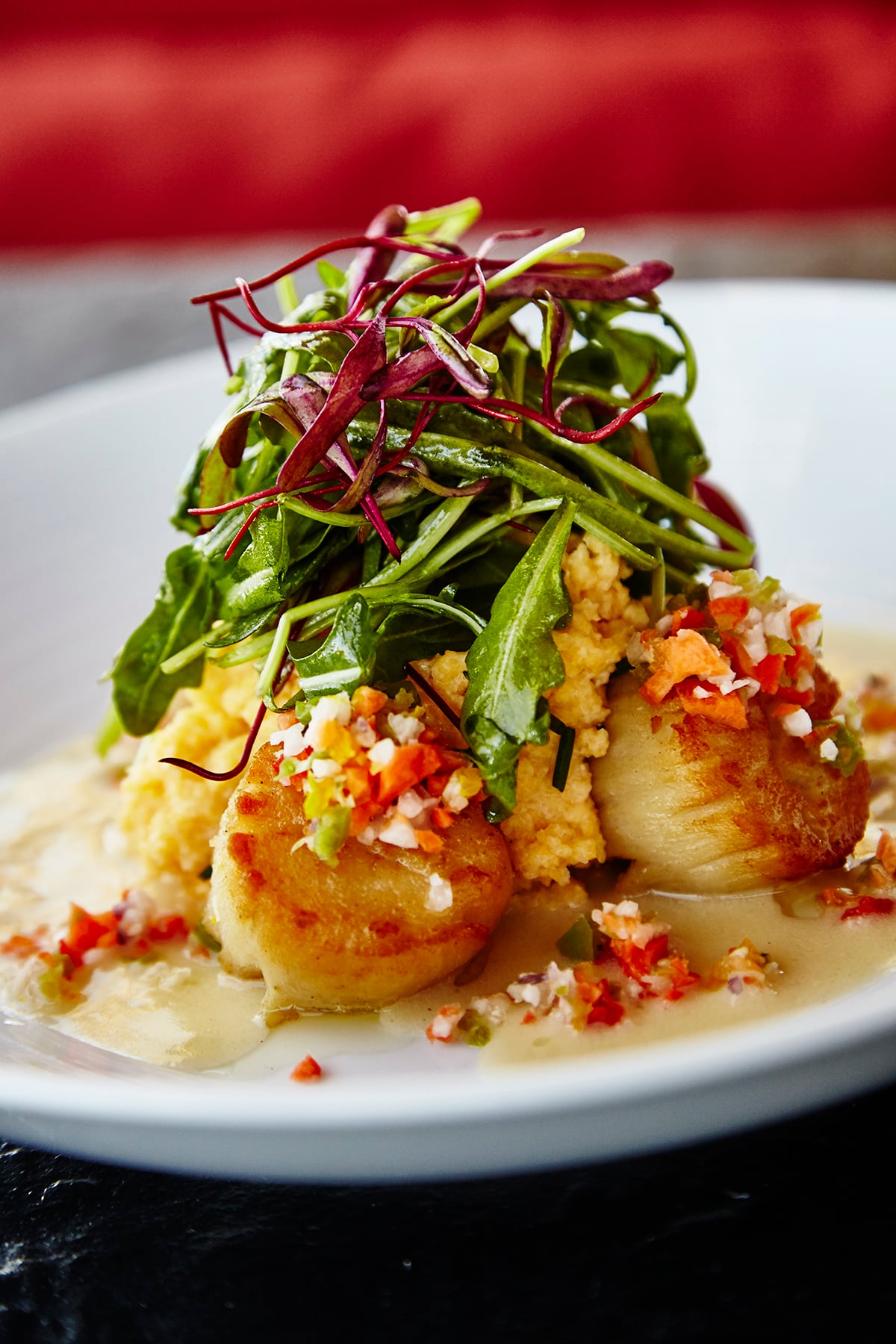 Scallops with salad