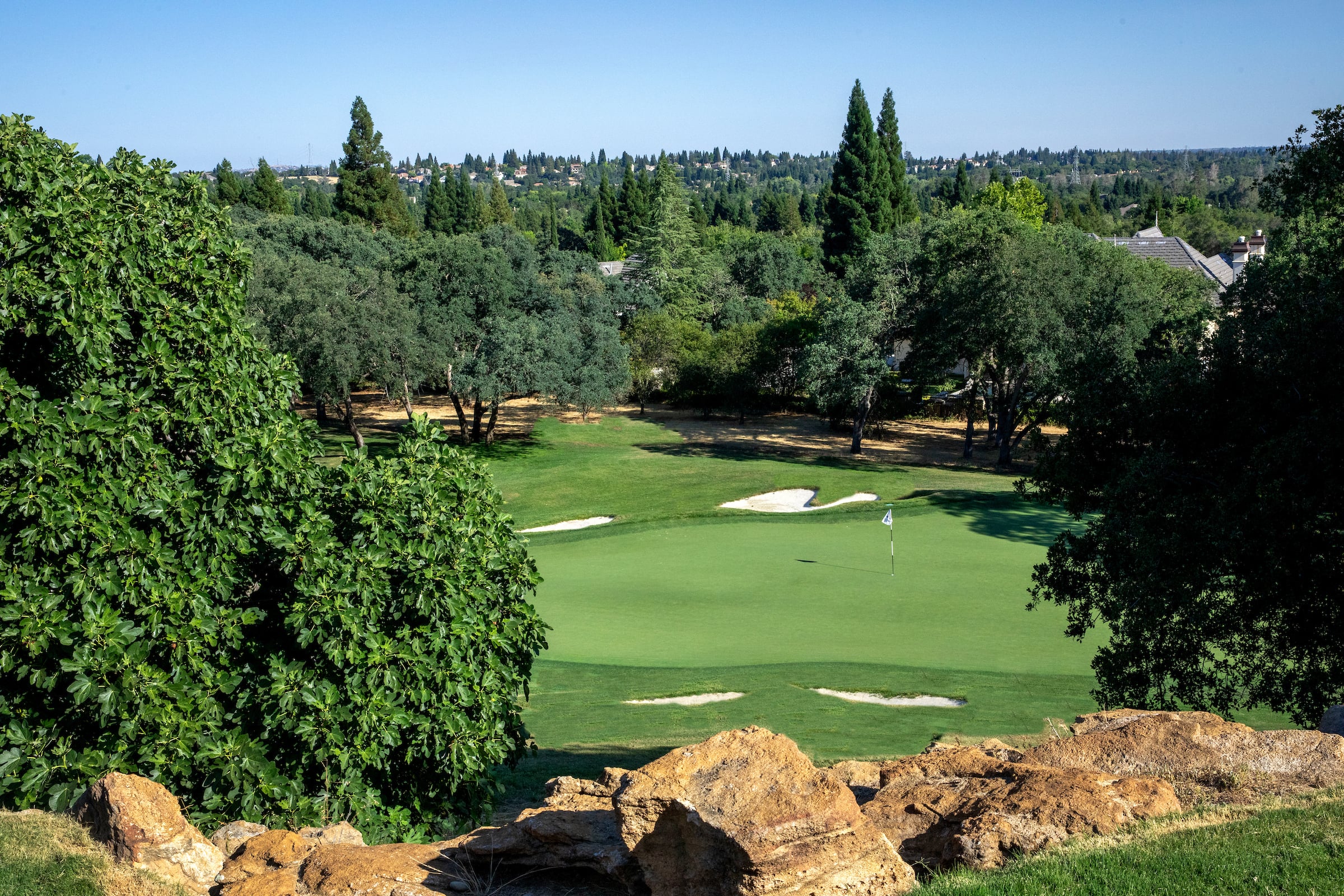 view of a golf course with tall trees
