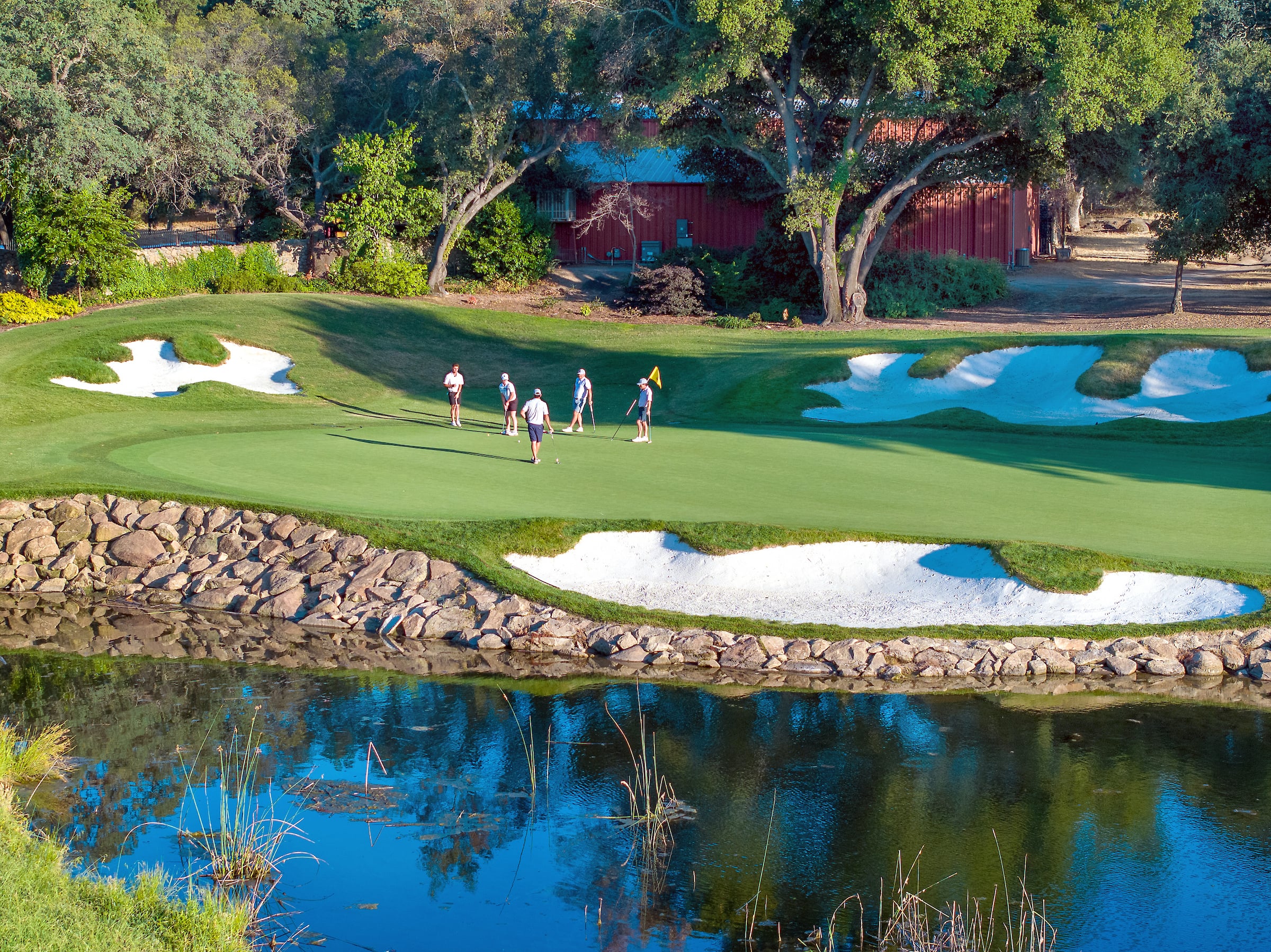 four players on a golf course