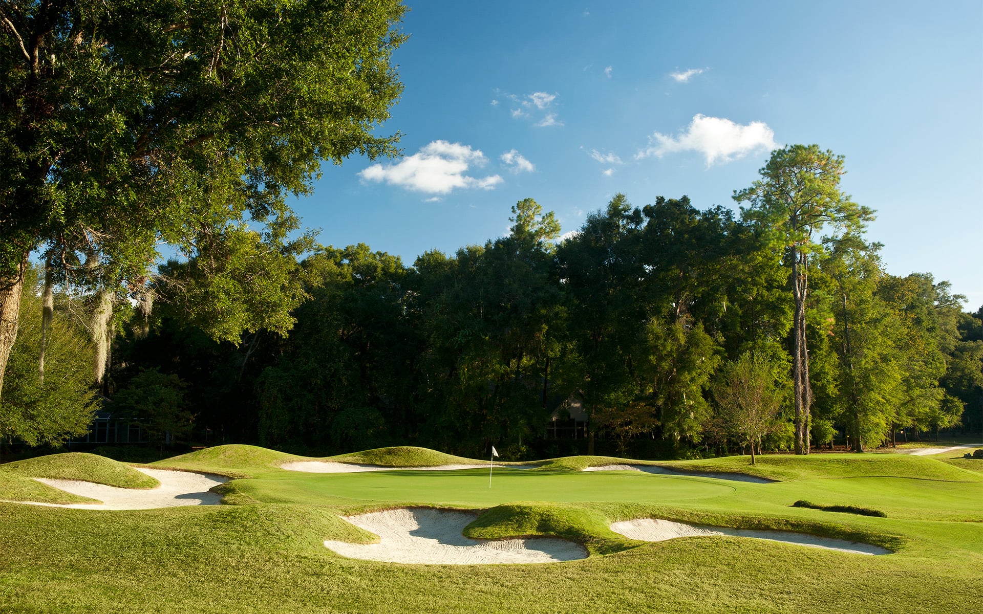 a golf course green