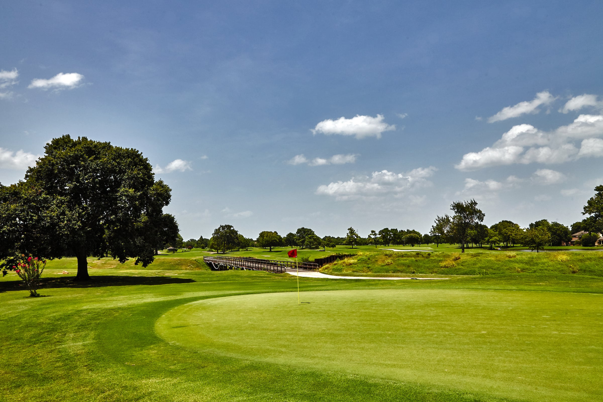 Hole and golf flag