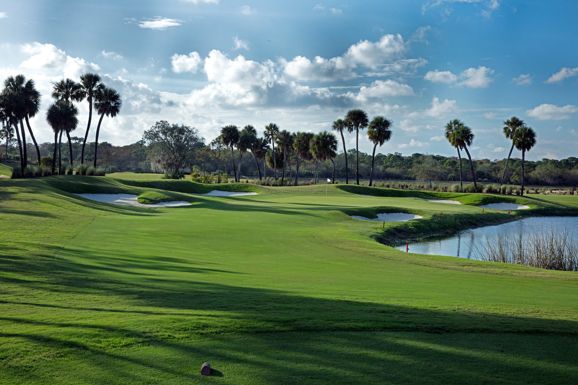 view of a golf course