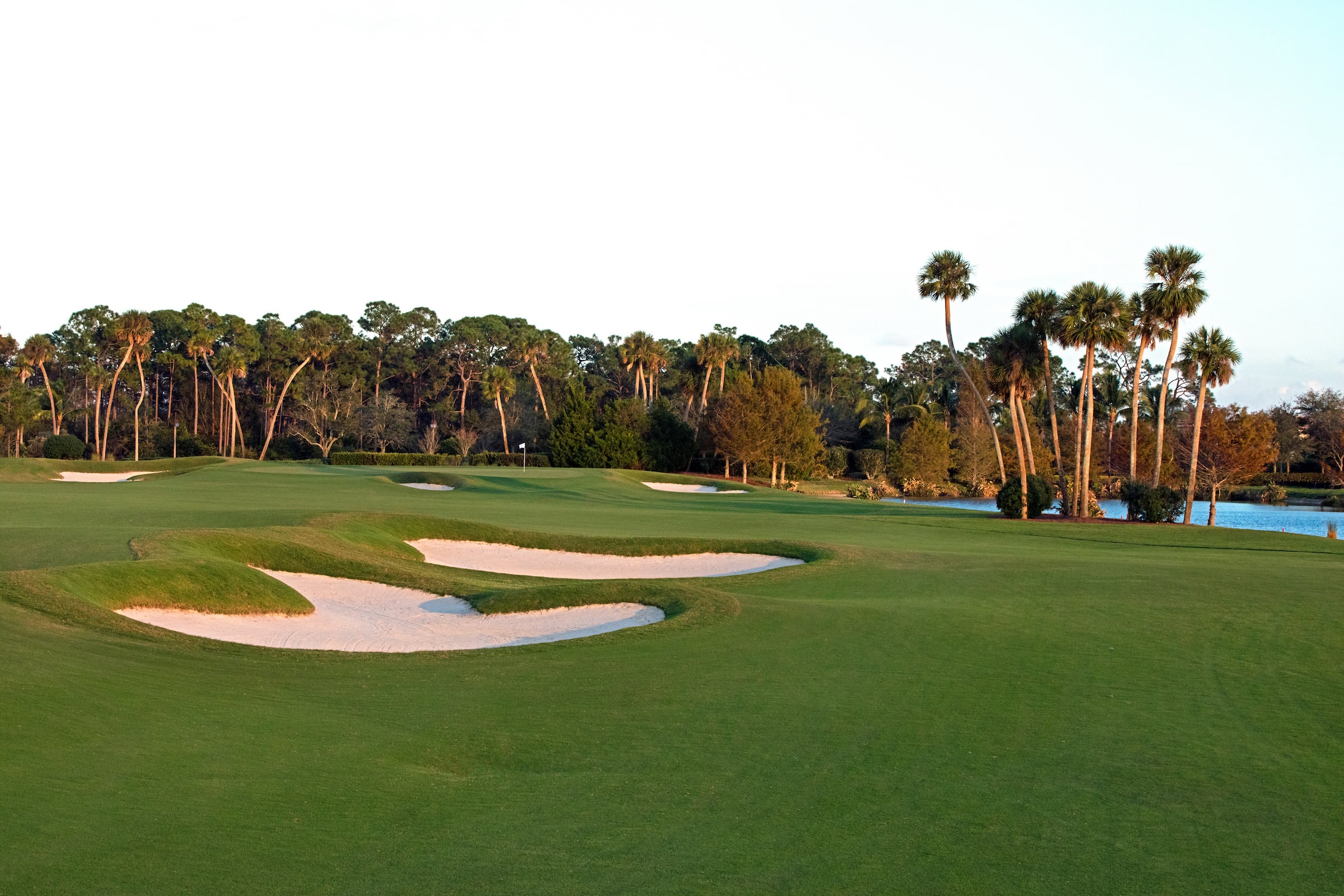 view of a golf course
