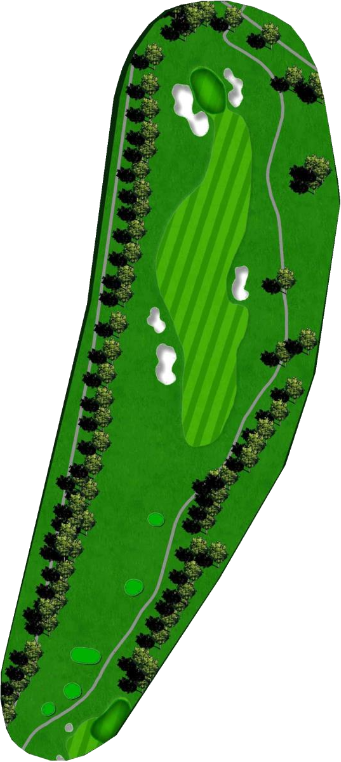 Nicklaus Hole 11