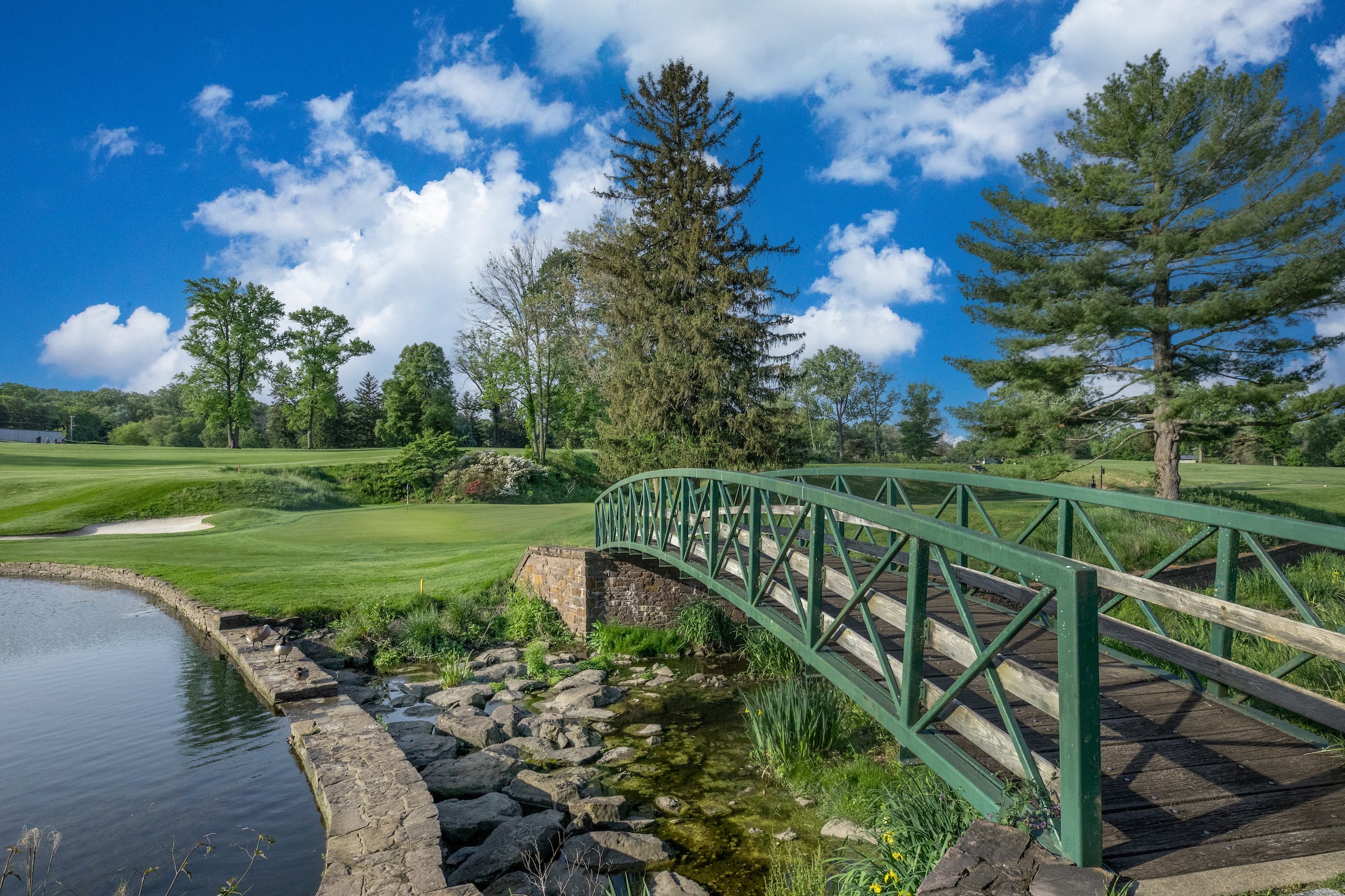 North hills golf course