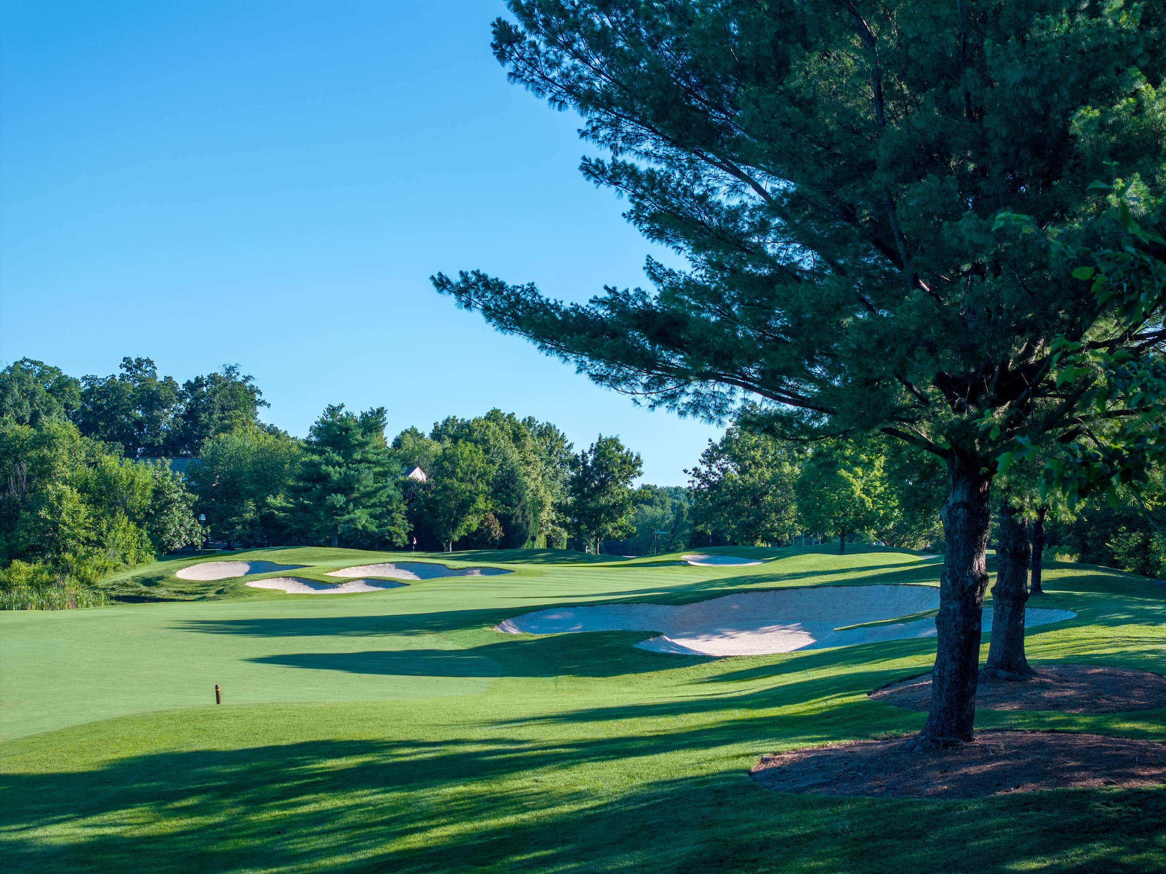 view of a golf course hole