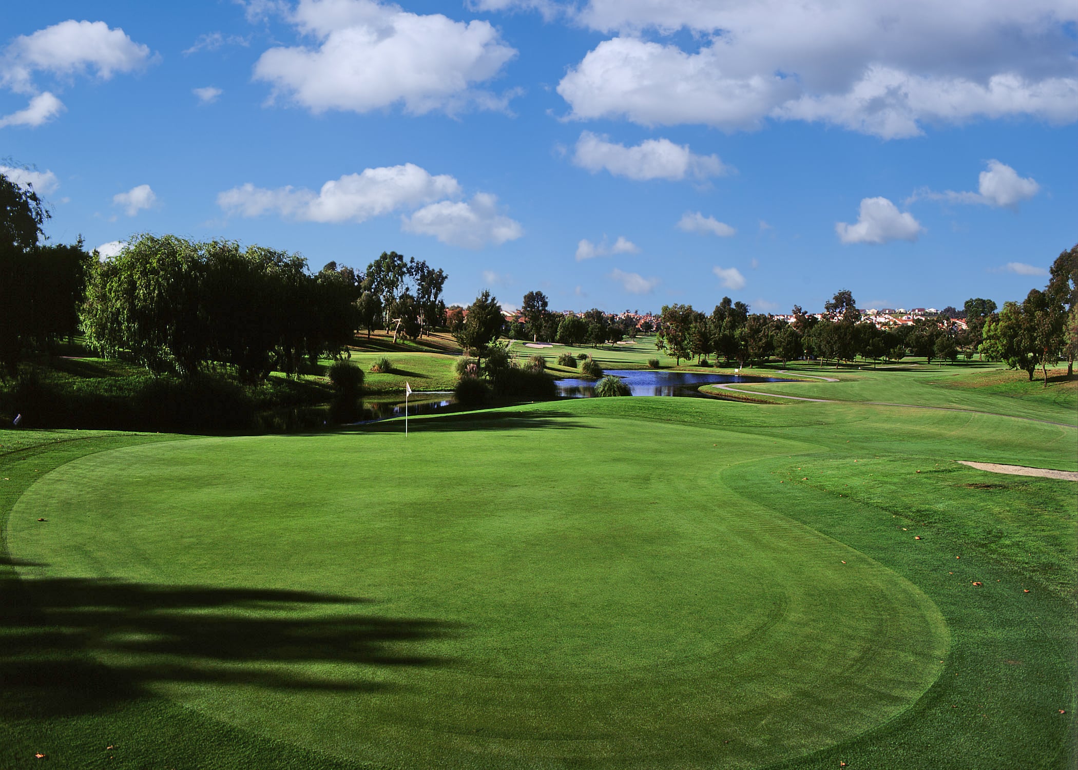 view of a golf course
