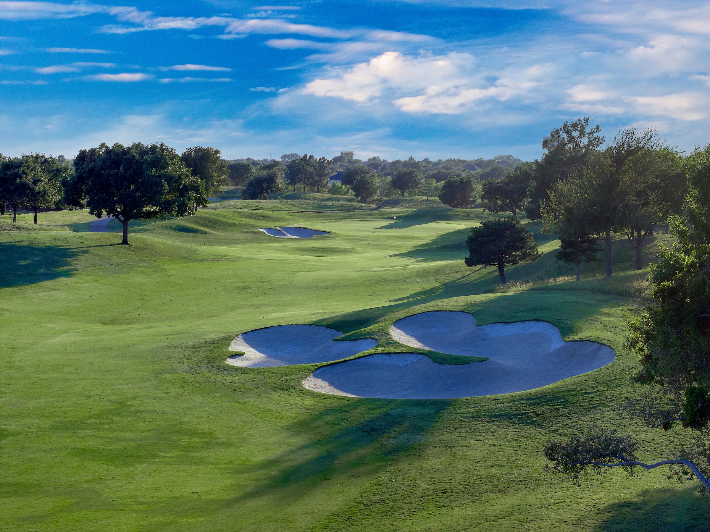 Fazio Course