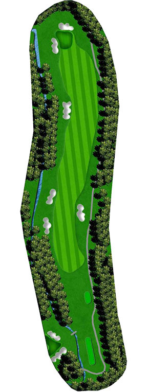 the-clubs-of-peachtree-city-newnan-braelinn-course-hole_17 