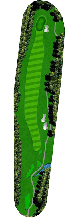 the-clubs-of-peachtree-city-newnan-homestead-course-hole_3 