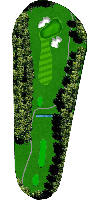the-clubs-of-peachtree-city-newnan-homestead-course-hole_5 