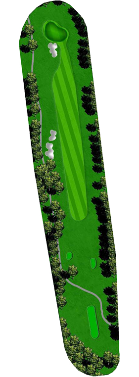 the-clubs-of-peachtree-city-newnan-homestead-course-hole_6 