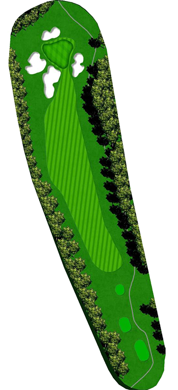 the-clubs-of-peachtree-city-newnan-old-course-hole_17 