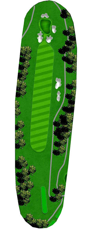 the-clubs-of-peachtree-city-newnan-roquemore-course-hole_18 