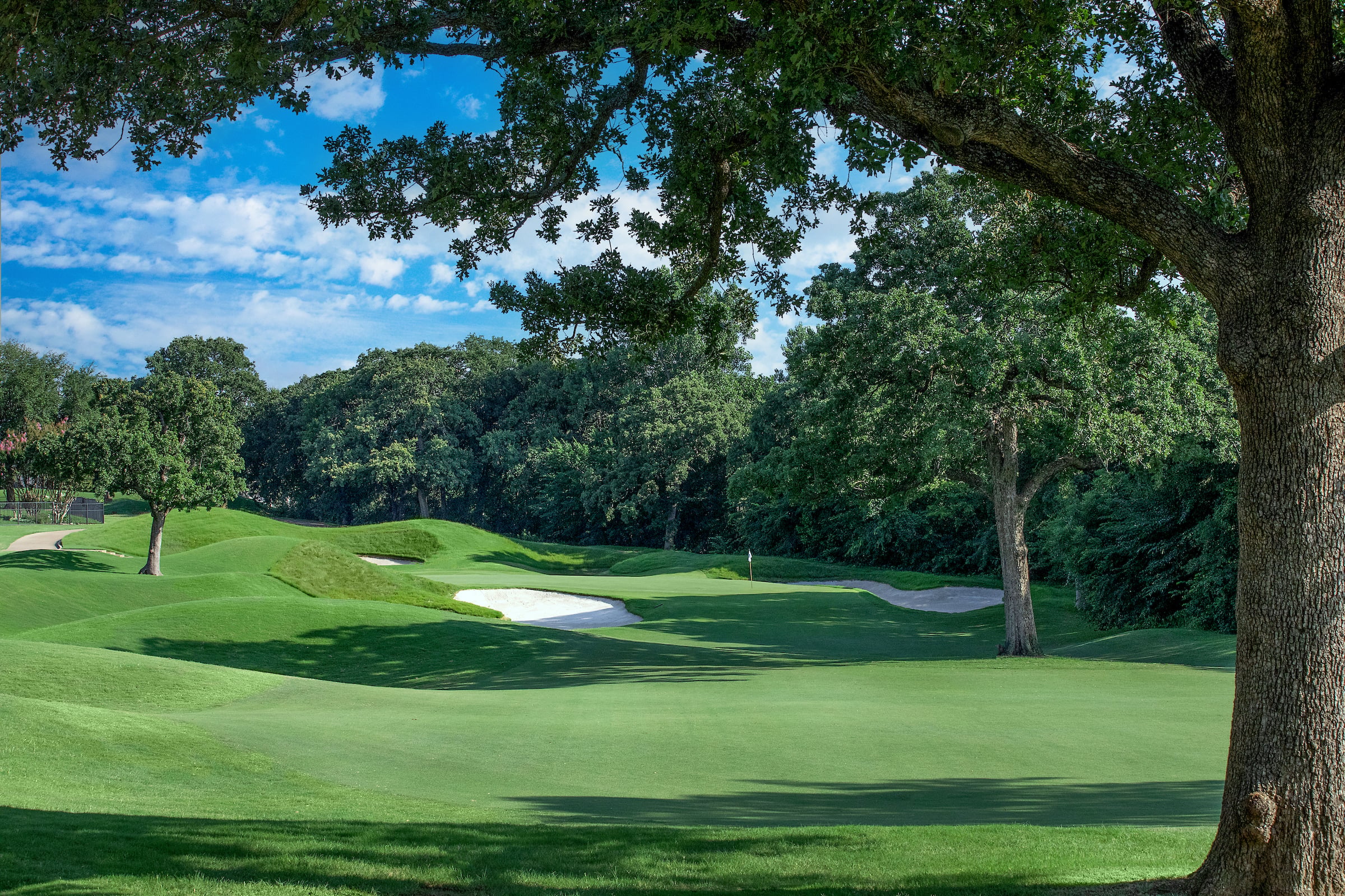 Course view