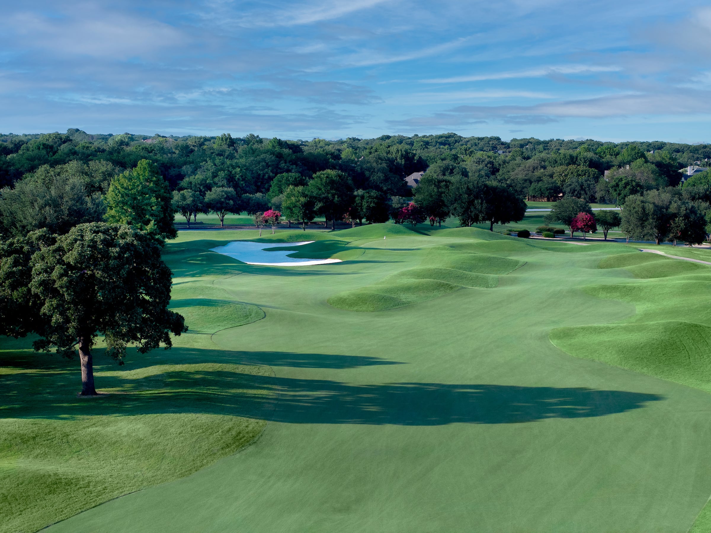 Course view