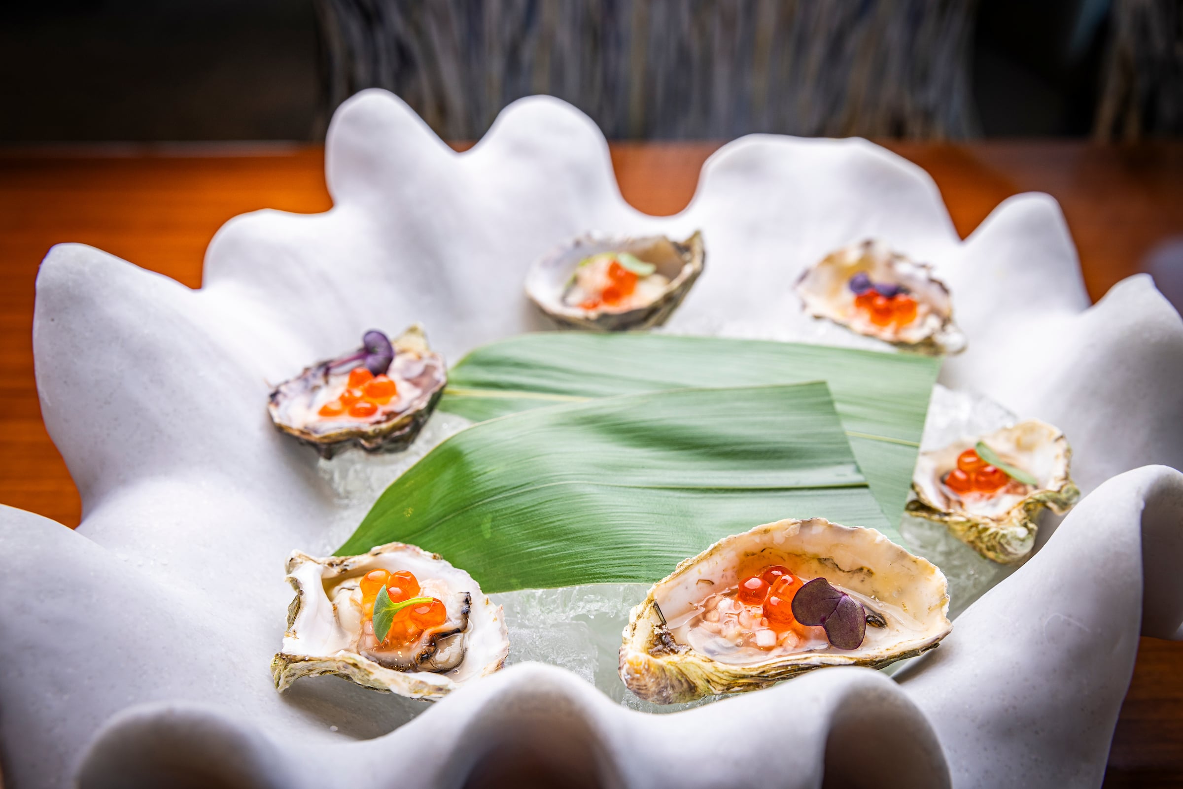 Oysters on a decorative plate