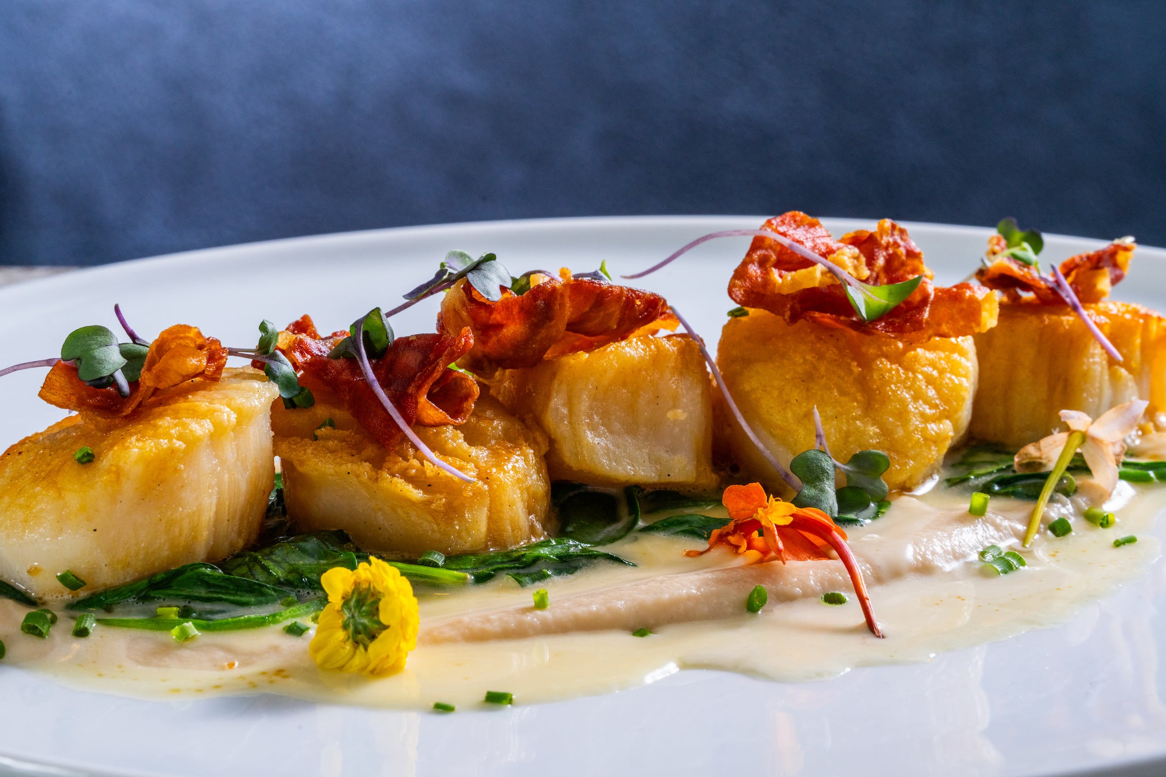 Plate of scallops