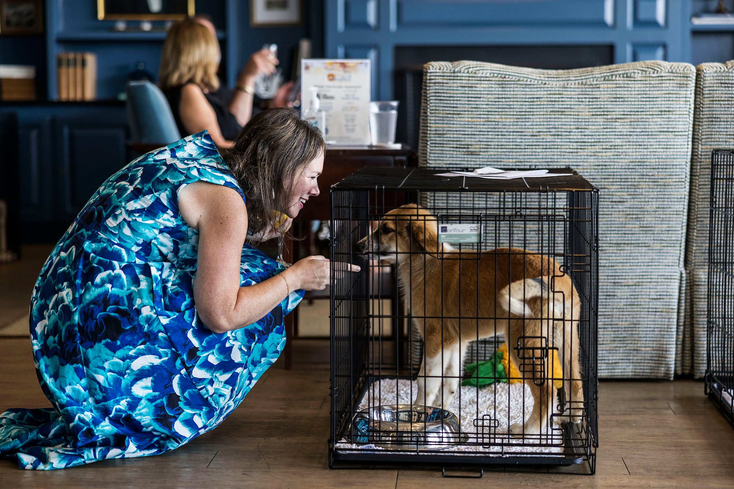 Woman squatting in front of a dog in a kennel cage