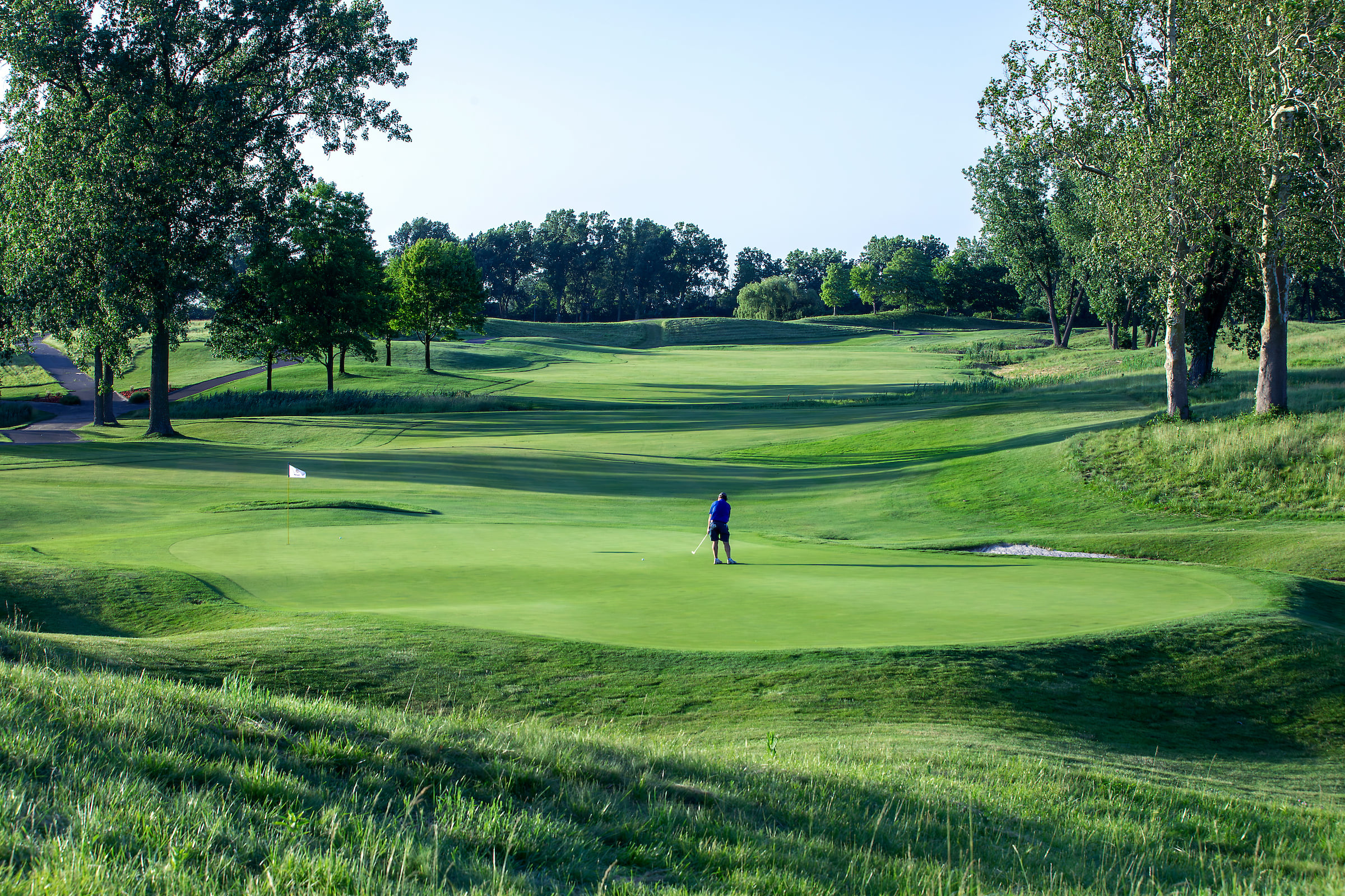 Tpc michigan golf course