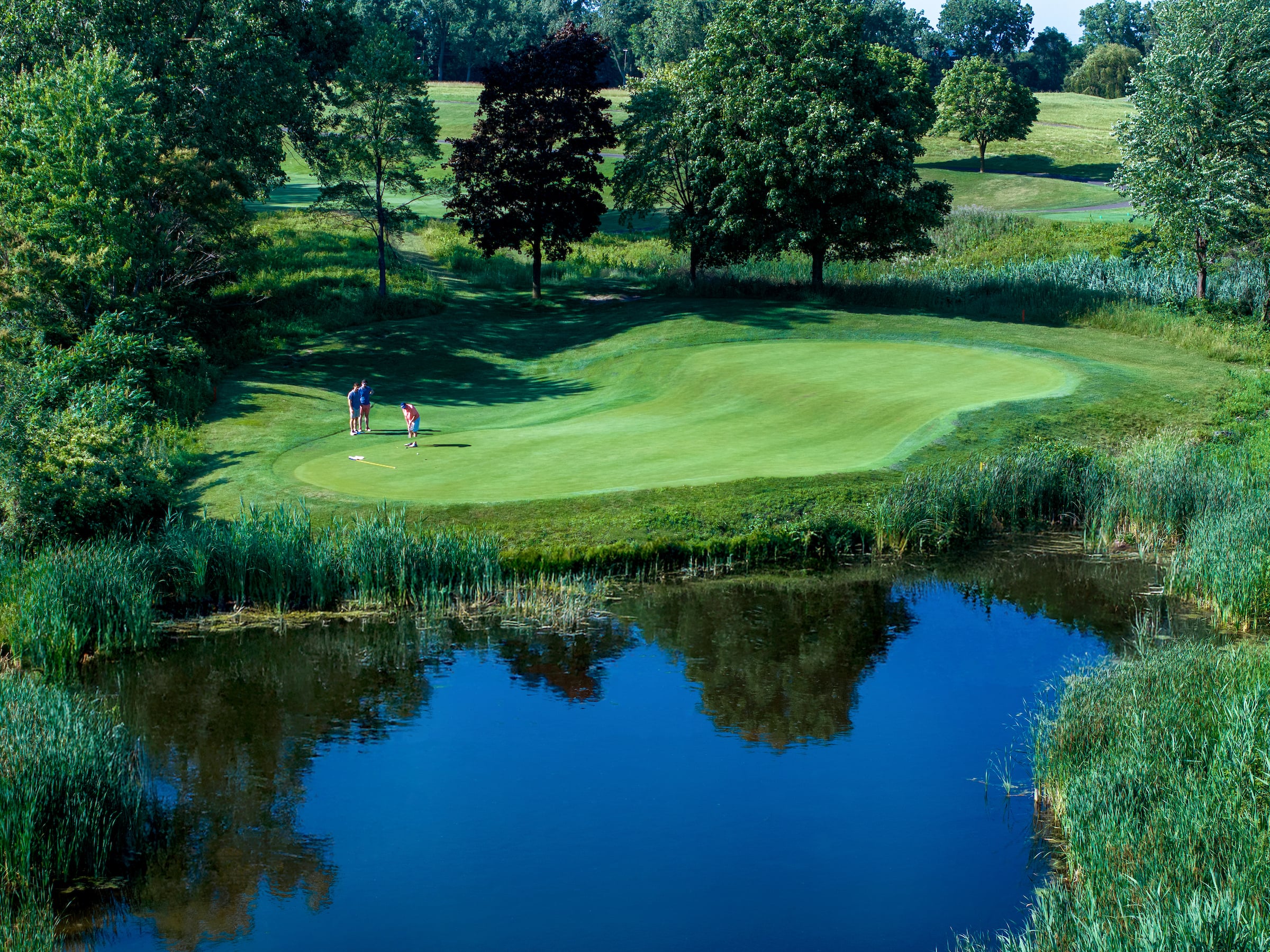 tpc michigan golf course