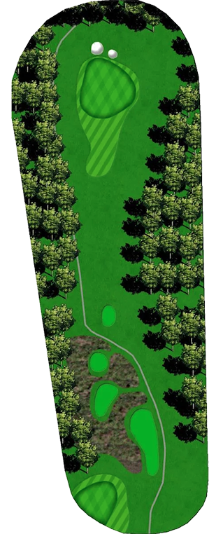 TPC Piper Glen Hole 4