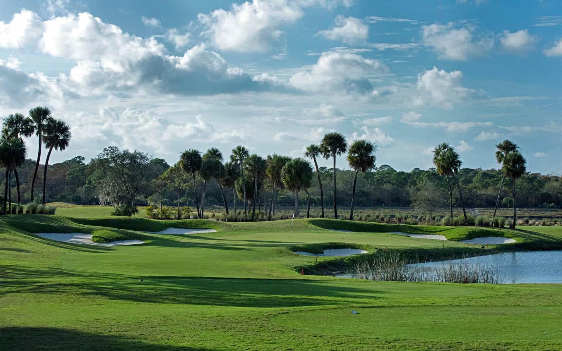 Top Tier Golf Club