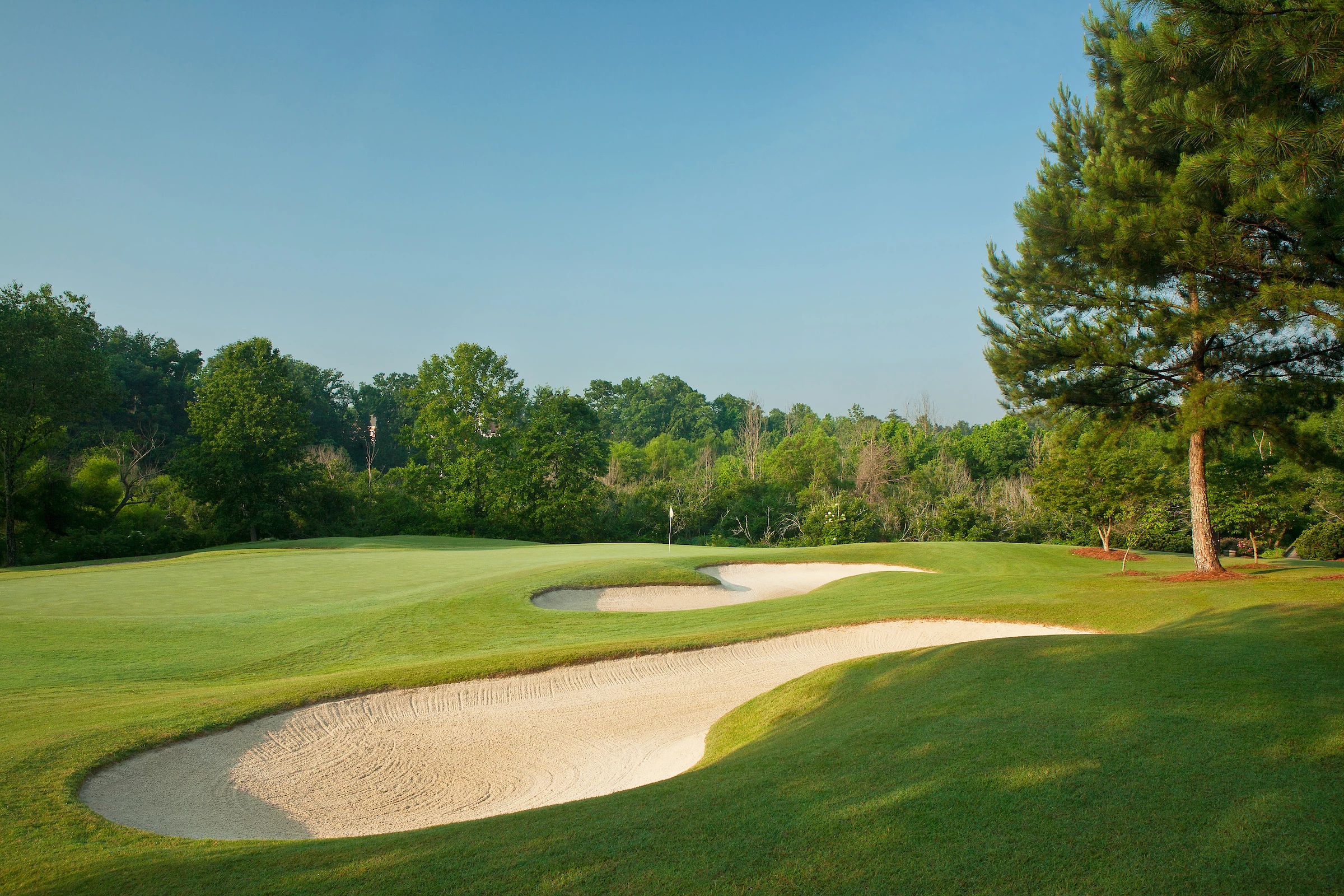 Laurel Springs Golf Club - Golf Course Hole #9 Green