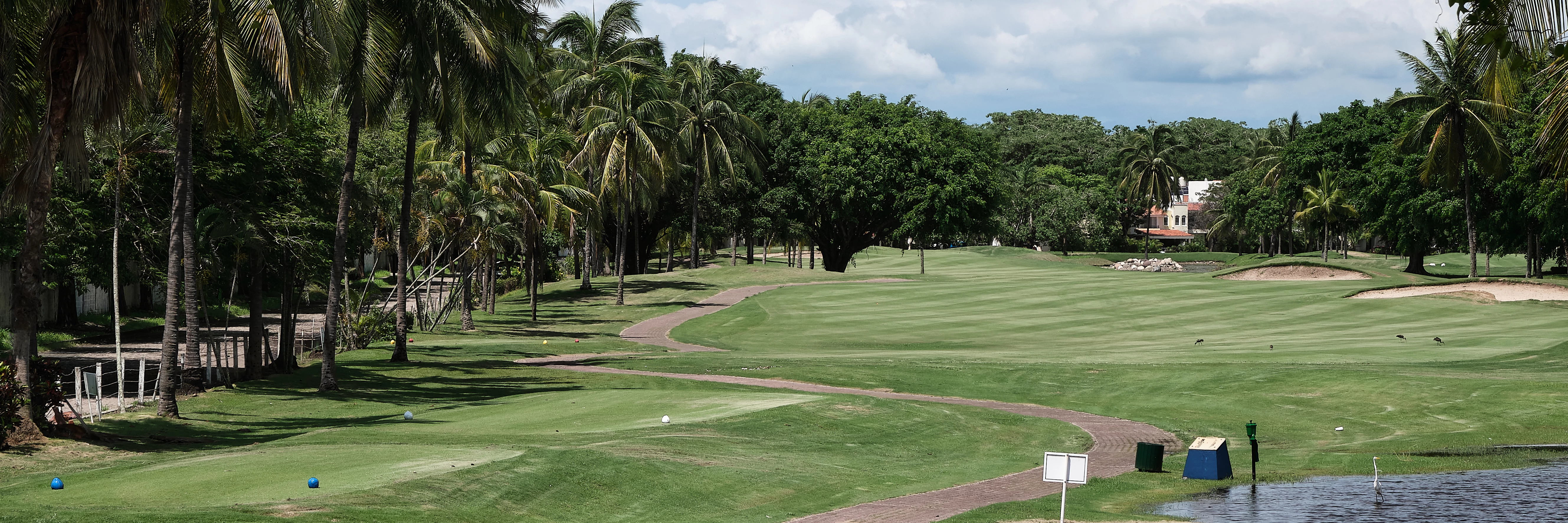Marina Vallarta Club de Golf - Golf  Course