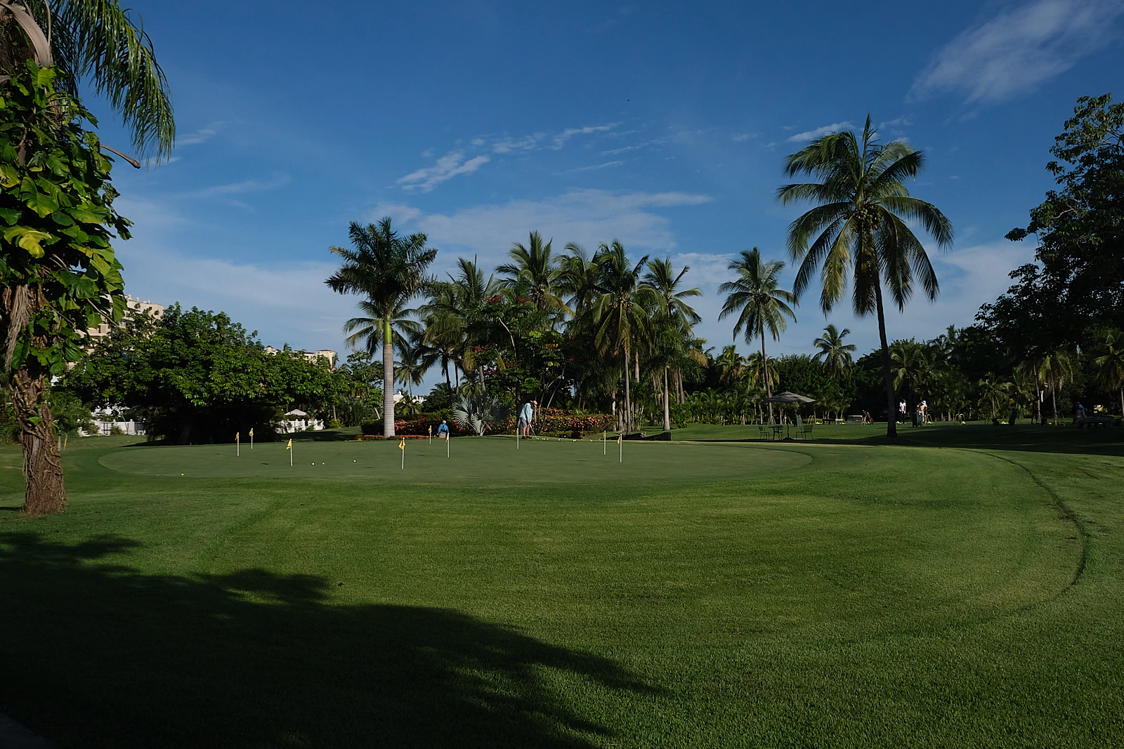 Marina Vallarta Club de Golf - Golf  Course Putting Green