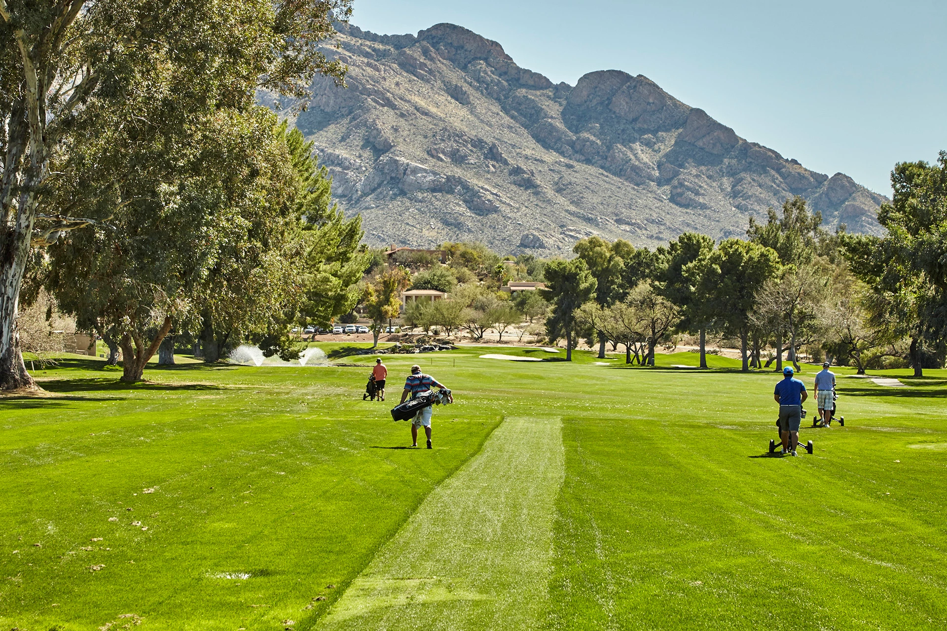 Oro Valley Country Club - Golfers