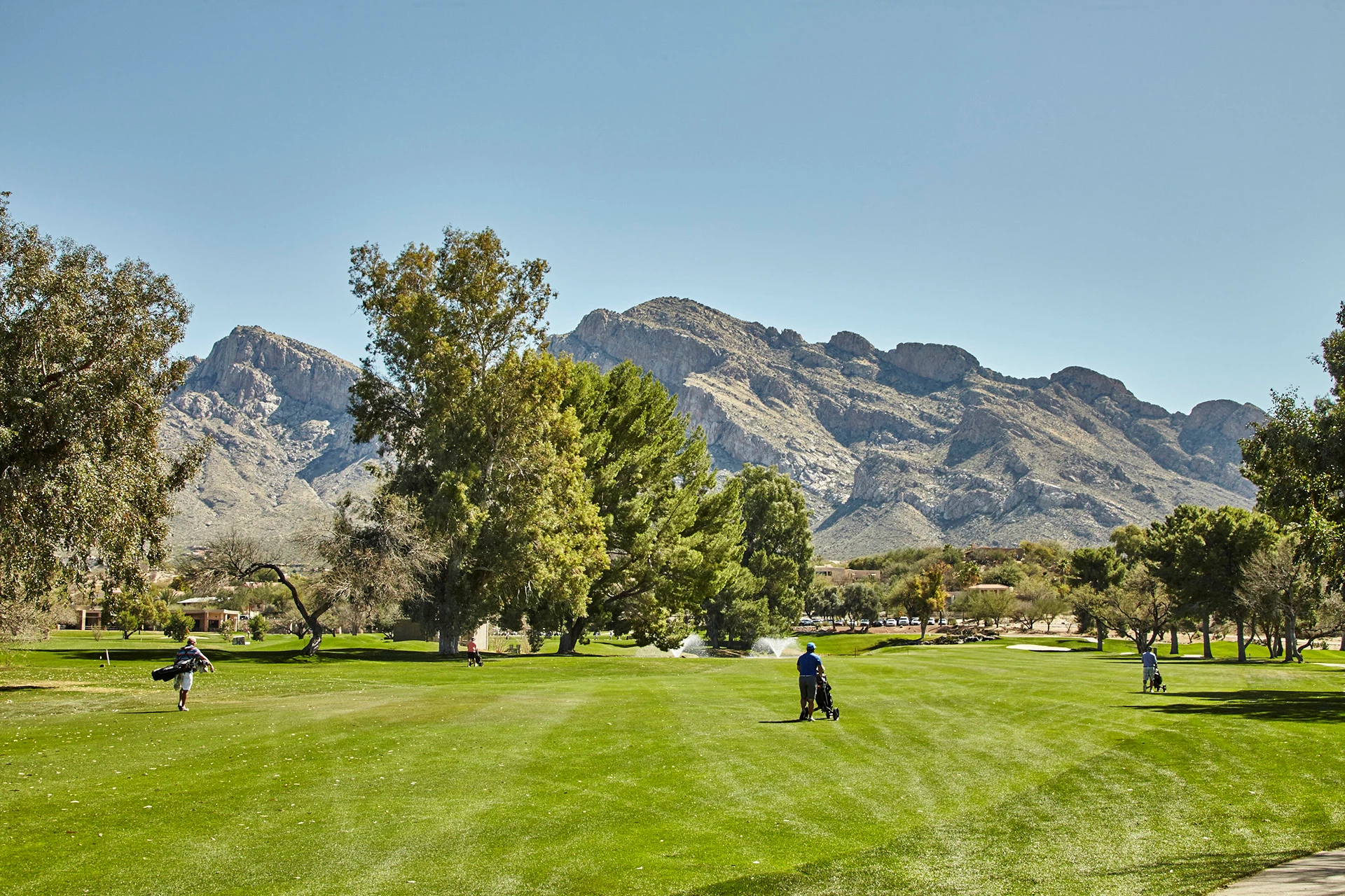 Oro Valley Country Club - Golfers