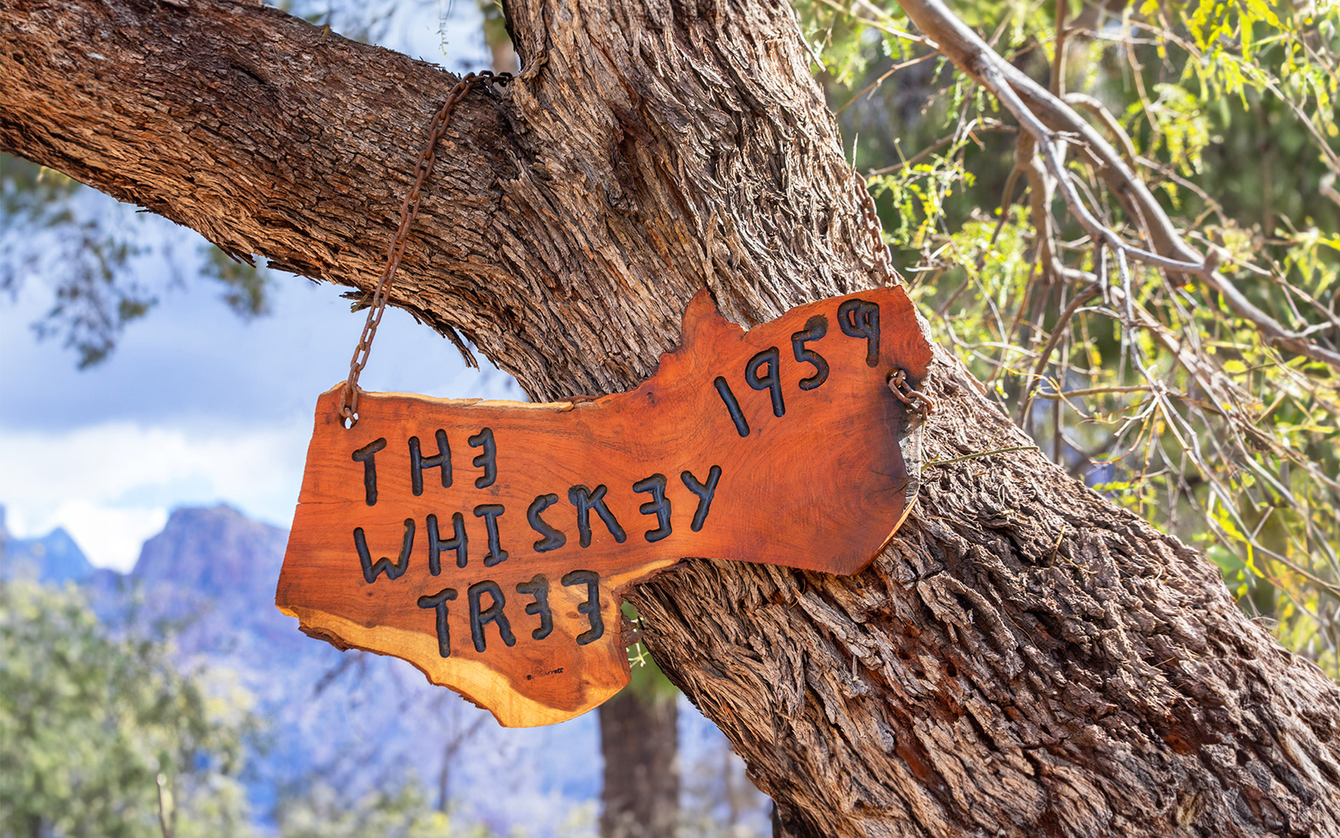 Fine Dining in Oro Valley, AZ Oro Valley Country Club