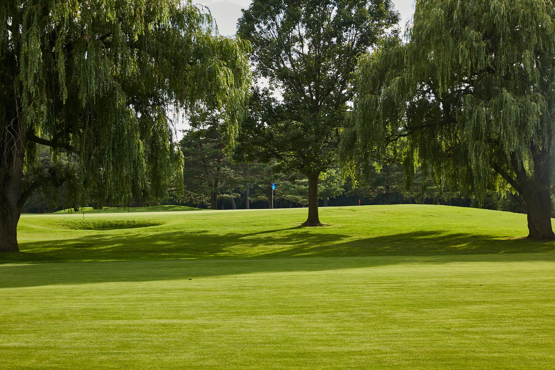 Ravinia Green Country Club - Golf Course Hole 1