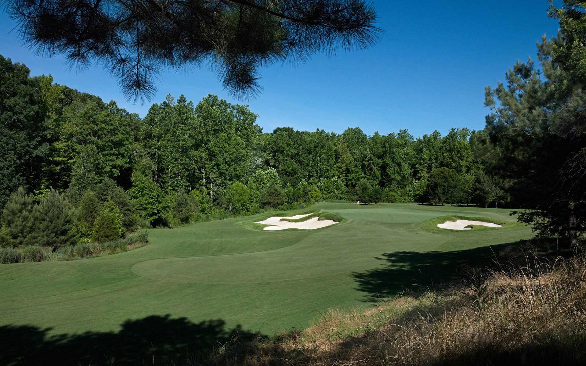 The Hasentree Club - Golf Course