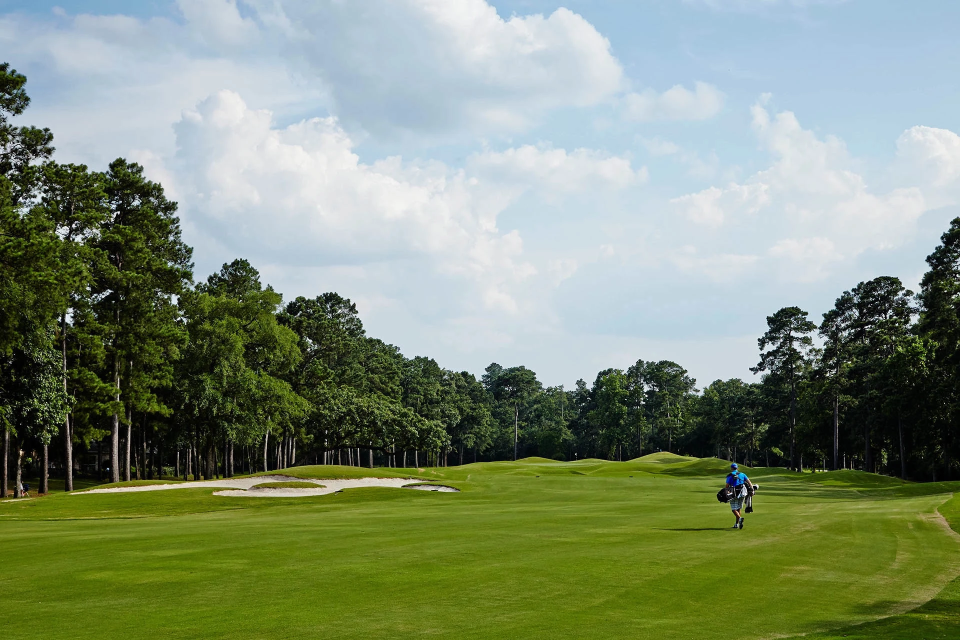 fairway on the Woodlands' Palmer Course